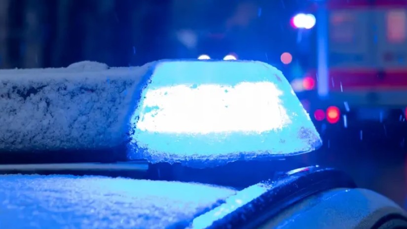 გერმანიის პოლიცია