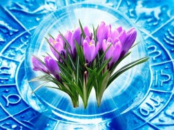 მარტი