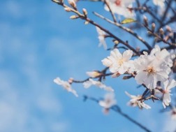 მზიანი ამინდი