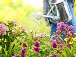 მზიანი ამინდები