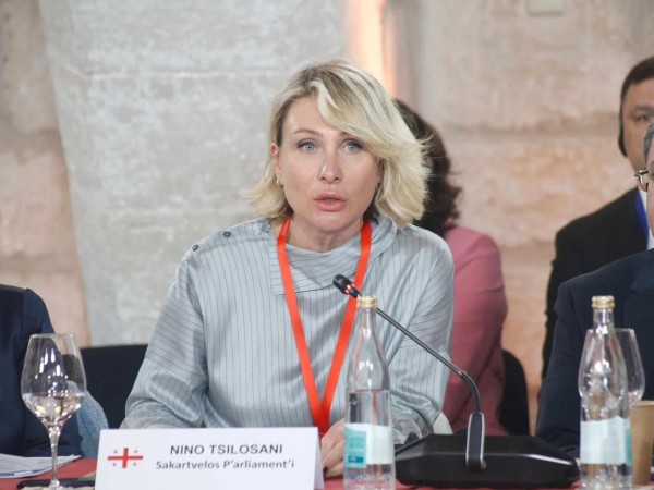 ნინო წილოსანი