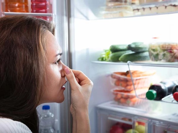 მაცივარი