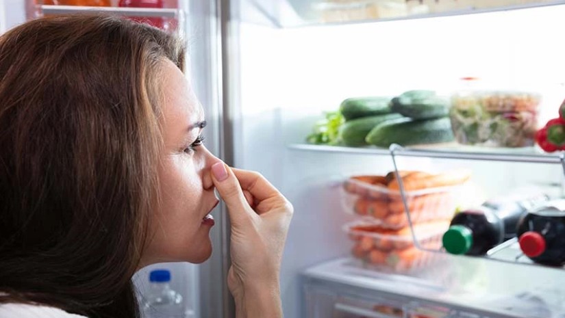 მაცივარი