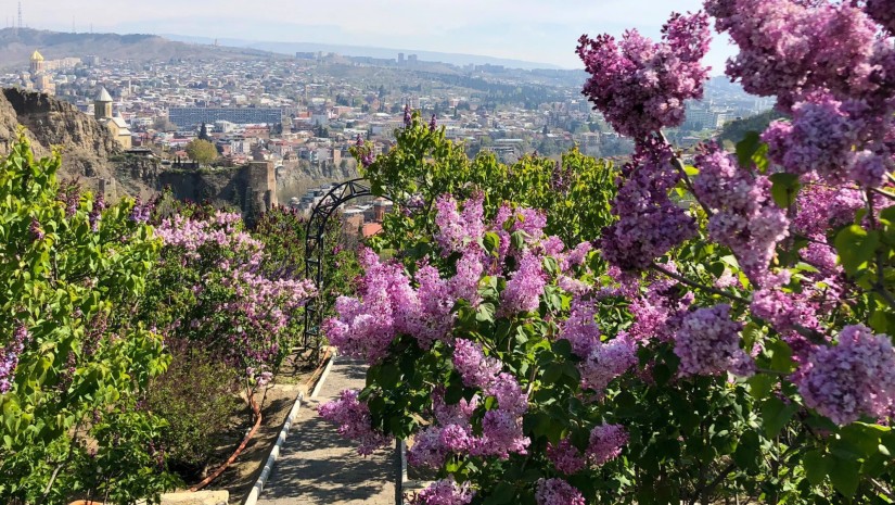 საქართველოს ეროვნული ბოტანიკური ბაღისათვის ოფიციალური სტატუსის მინიჭებიდან 179 წელი გავიდა