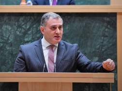 მიხეილ სარჯველაძე