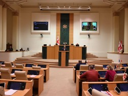 მიხეილ სარჯველაძე