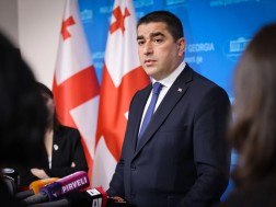 შალვა პაპუაშვილი