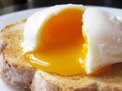 თოხლო კვერცხი