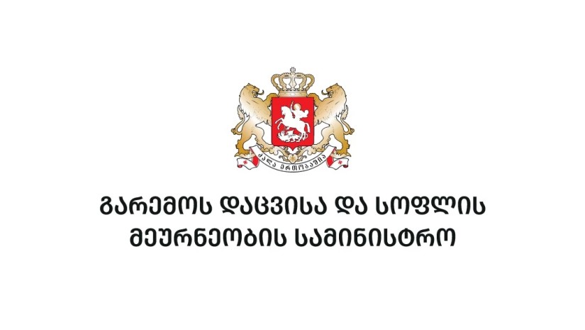 ავტომობილთა იმპორტიორებისთვის პროცედურები მარტივდება ავტომობილთა იმპორტიორებისთვის პროცედურები მარტივდება