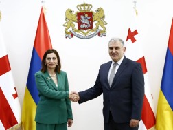 მიხეილ სარჯველაძე, სომხეთის ჯანდაცვის მინისტრის შეხვდა