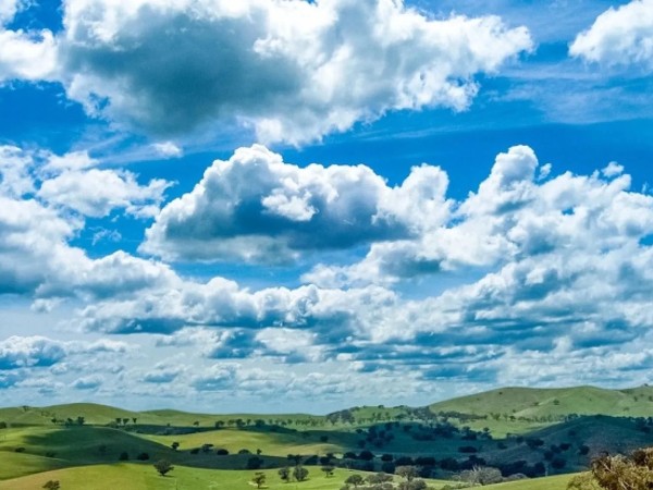 ღრუბელი ღრუბელი