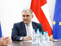 მიხეილ სარჯველაძე