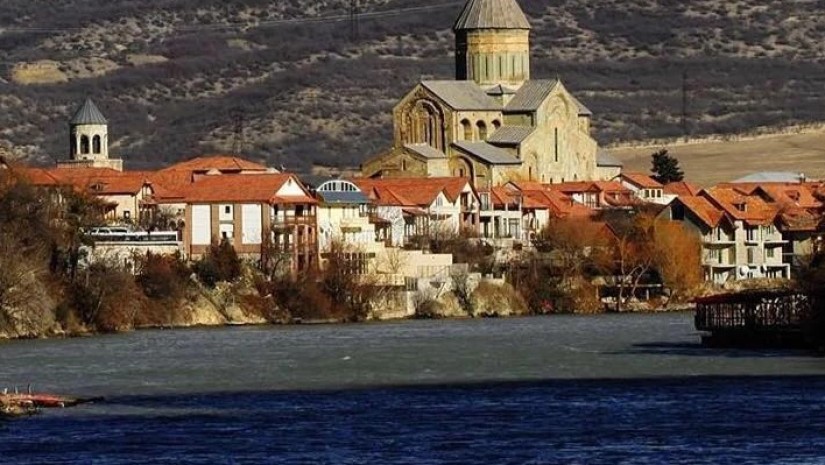 სვეტიცხოველი სვეტიცხოველი