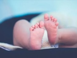 ჩვილი ჩვილი