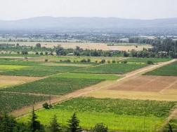 სისტემური რეგისტრაციის პროექტით კიდევ 4 021 მიწის ნაკვეთი დარეგისტრირდება