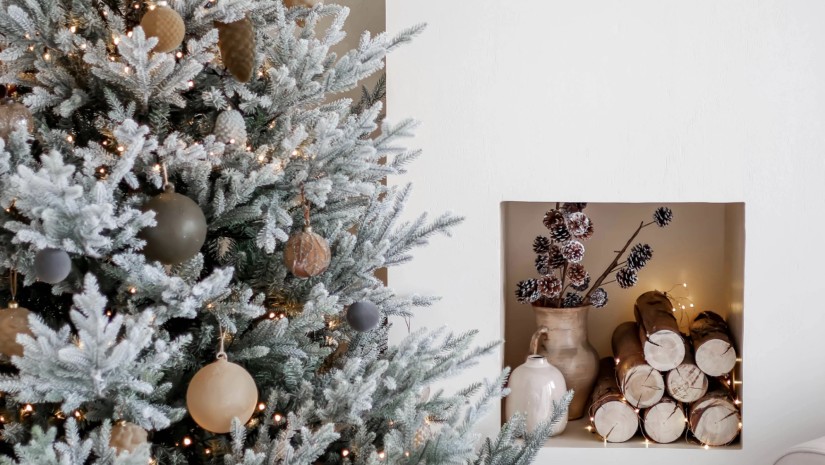 ნაძვის ხე