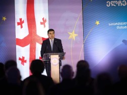 შალვა პაპუაშვილი