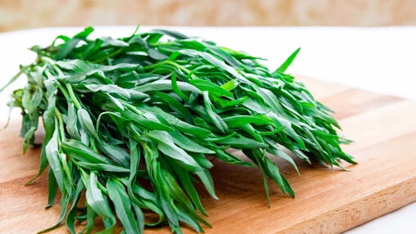 tarragon