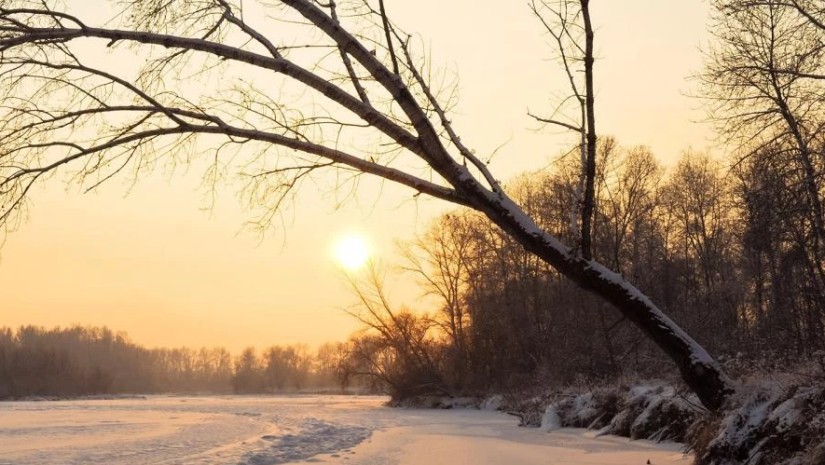 ზამთარი