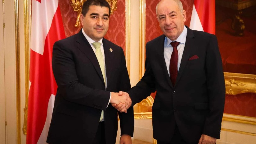 შალვა პაპუაშვილი უნგრეთის პრეზიდენტს შეხვდა შალვა პაპუაშვილი უნგრეთის პრეზიდენტს შეხვდა