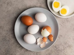 egg