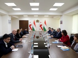 მიხეილ სარჯველაძე უნგრეთის ელჩს ანა მარია შიკოს შეხვდა