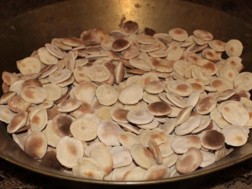 სუბსარქისი