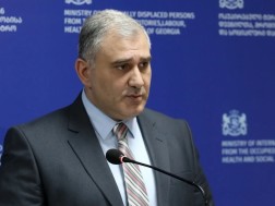 მიხეილ სარჯველაძე