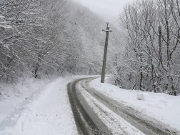 ვერონა თელავი