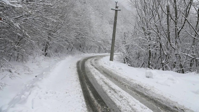 ვერონა თელავი