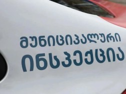 მუნიციპალური ინსპექცია 