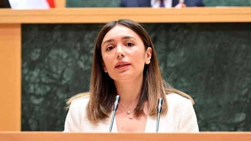  ნინო თანდილაშვილი