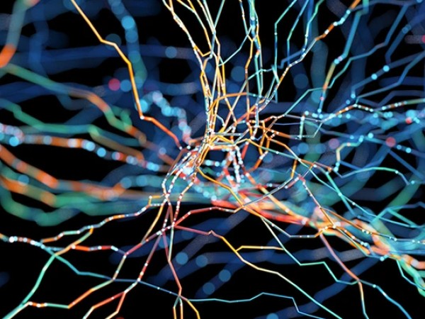 ADHD და დემენცია