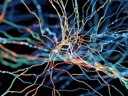 ADHD და დემენცია