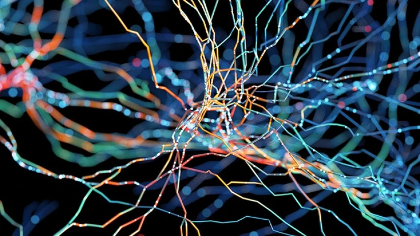 ADHD და დემენცია