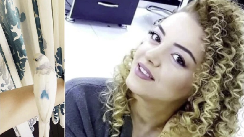 მელანო ფუტკარაძე