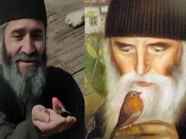 beri paisi