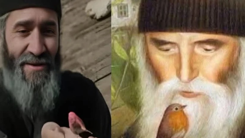 beri paisi