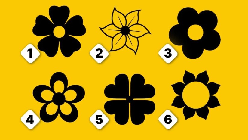 ტესტი