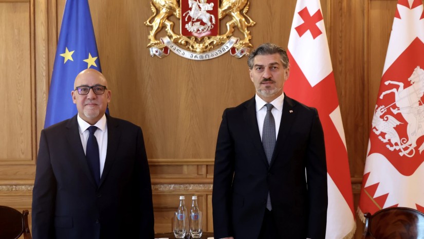მიხეილ ყაველაშვილი საქართველოში თურქეთის ელჩს შეხვდა მიხეილ ყაველაშვილი საქართველოში თურქეთის ელჩს შეხვდა