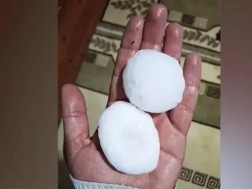სეტყვა