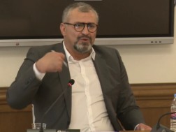 ბესიკ დანელია