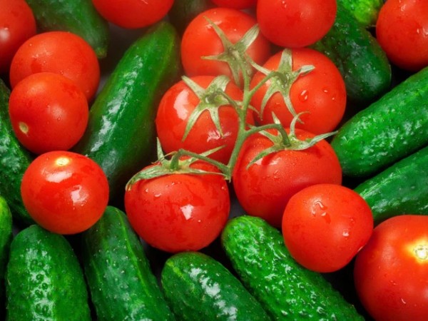 კიტრი და პომიდორი