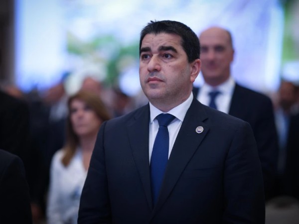 შალვა პაპუაშვილი შალვა პაპუაშვილი