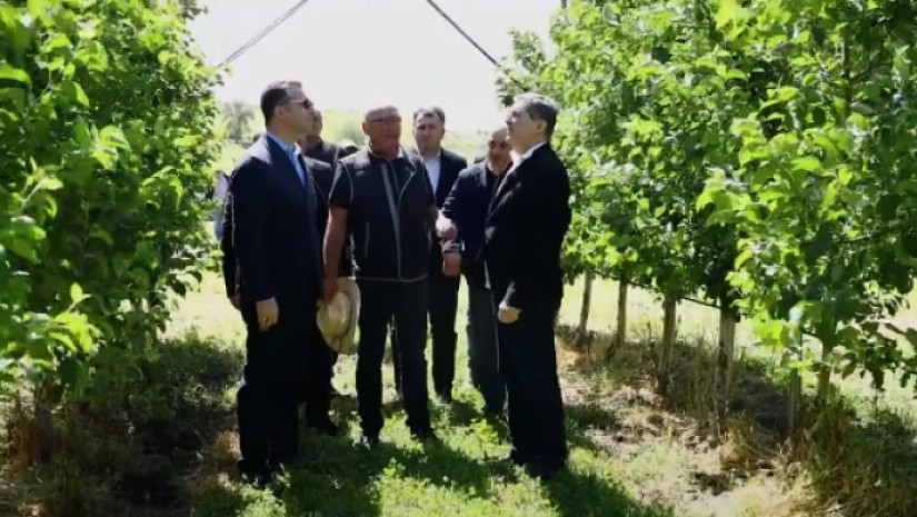 დავით სონღულაშვილი