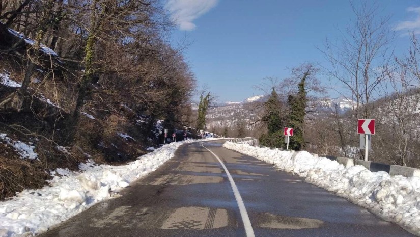 გზების დეპარტამენტი