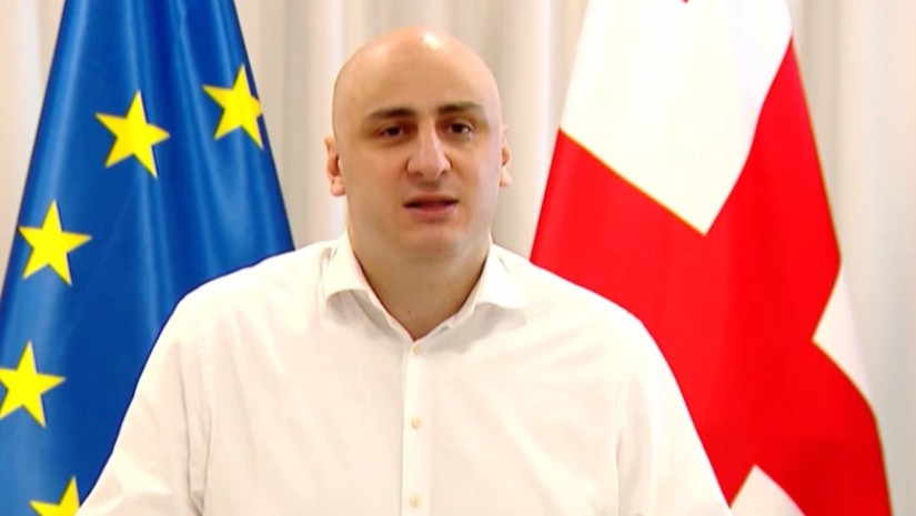 ნიკა მელია