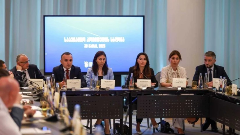 ავიაციის კომიტეტის სხდომა