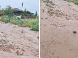 სტიქია სიღნაღში