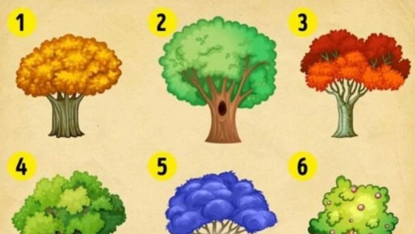 ხეები ხეები